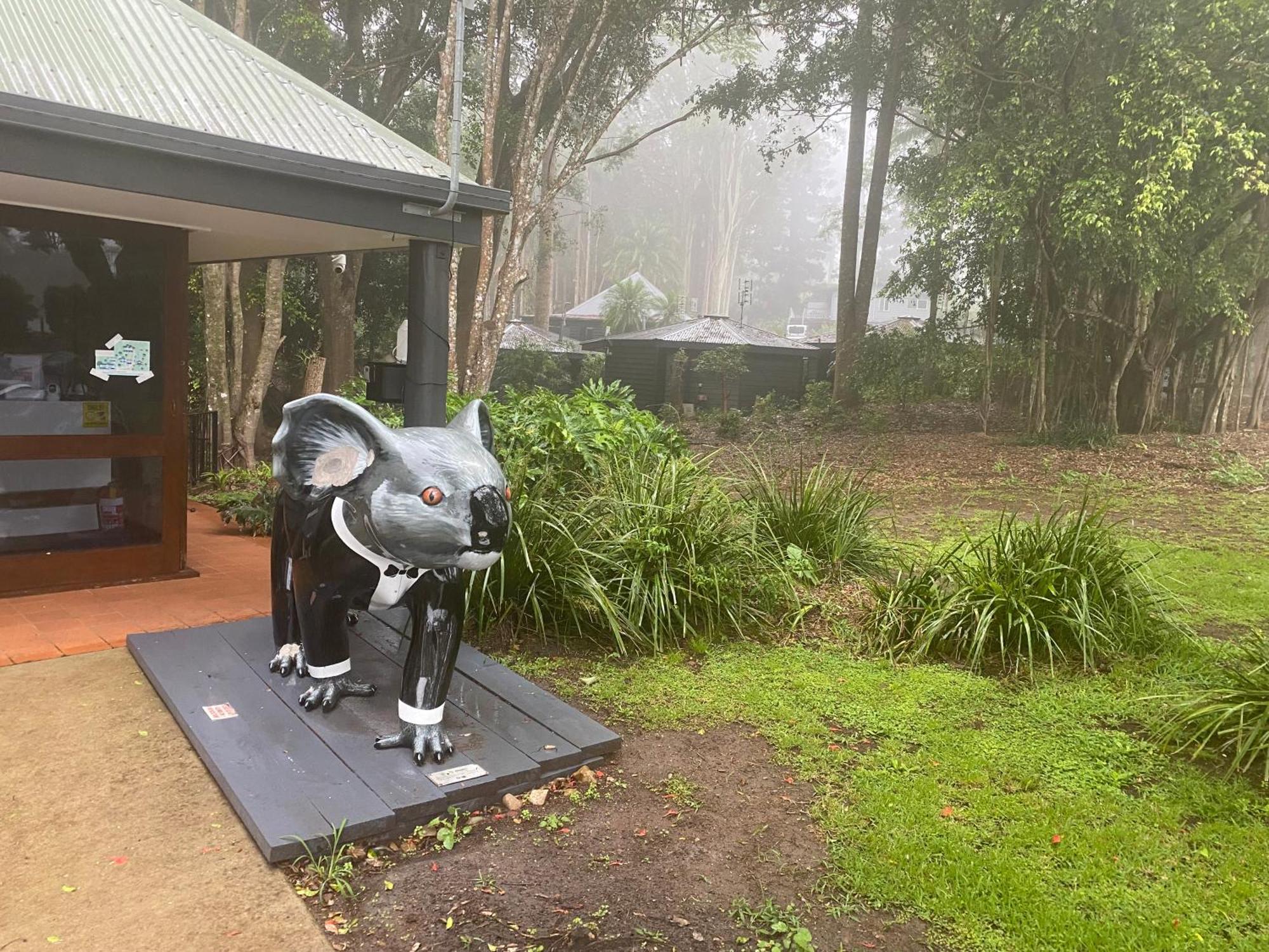 Koala Cabins Sunshine Coast Mapleton Exterior foto